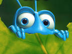 Bug