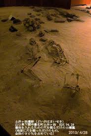 Image result for 土井ヶ浜遺跡　視線　故郷