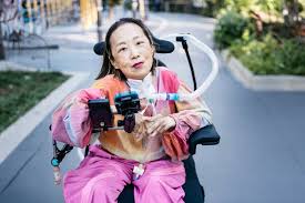 Image result for alice