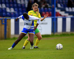 Image result for Haywards Heath Town Ladies Football Club