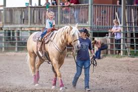 Image result for Lakes Riding Club