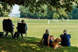 Image result for Antelope & Castle Cricket Club