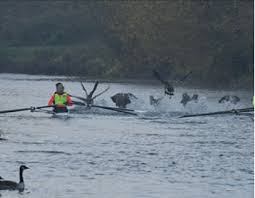 Image result for Evesham Rowing Club