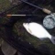 Image result for Byfleet Angling Association