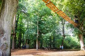 Image result for Go Ape! Leeds Castle