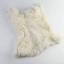 Image result for white rabbit skin texture
