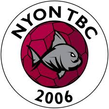 Image result for Portsmouth Tchoukball Club