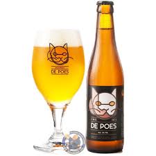 Image result for poes