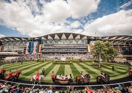 Image result for Ascot Badminton Club