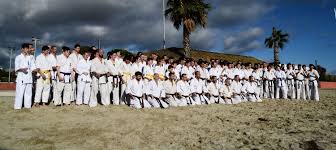 Image result for Ryuko Dojo