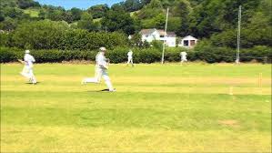 Image result for Dulverton Cc