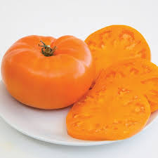 Afbeeldingsresultaat voor amana orange beefsteak tomato