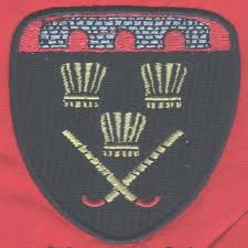 Image result for Ellon Gordon Hockey Club