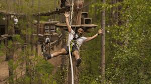 Image result for Go Ape! Thetford