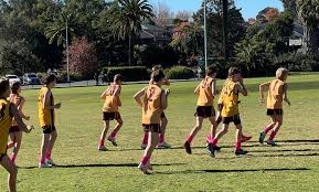 Image result for Comets Junior Badminton Club