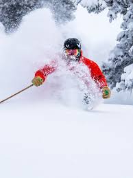 Image result for skiptondivers