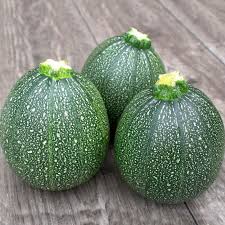 Image result for Zucchini