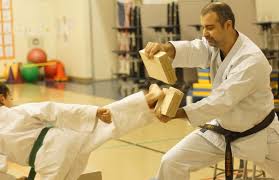 Image result for Excalibur Shotokan Karate Club