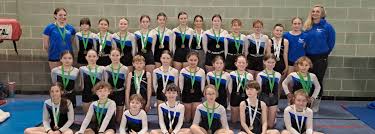 Image result for Gatwick Flyers Trampoline Club
