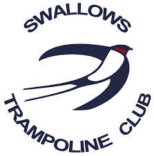 Image result for Swallows Trampoline Club