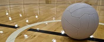 Image result for Leapoole Netball Club
