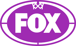 Image result for Foxes Netball Club