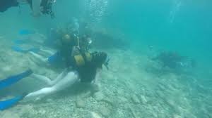 Image result for Three Seas Diving