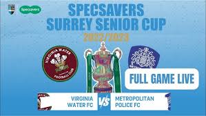 Image result for Virginia Water Fc