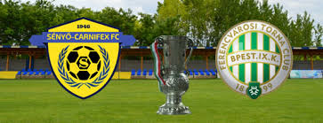 Image result for sényő