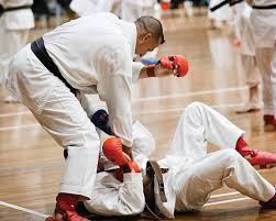 Image result for Devonport Shotokan Karate Club