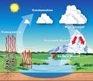 NWS JetStream - The Hydrologic Cycle