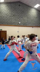 Image result for York University Karate Club