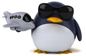 Image result for 3d linux penguin
