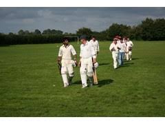 Image result for Salfords Cricket Club