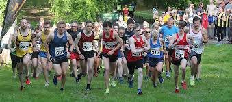 Image result for Calderglen Harriers