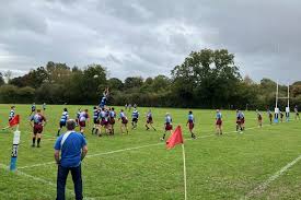 Image result for Reigate Rugby Football Club