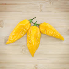 Afbeeldingsresultaat voor yellow fratali hot pepper