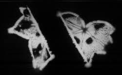 Image result for Jakub Jodko-Narkiewicz Kirlian