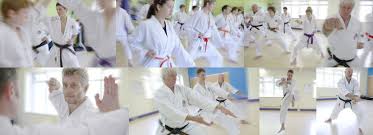 Image result for Harpenden JKA Karate
