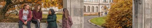Image result for Cardiff University