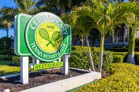 Image result for Cedars Badminton Club