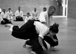 Image result for Kakumei Kan Aikikai (Middlesbrough)