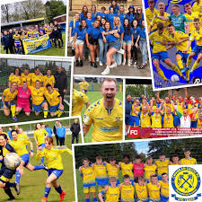 Image result for Cwmbran Celtic F C