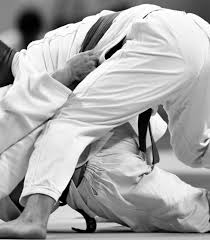 Image result for Judo Excellence