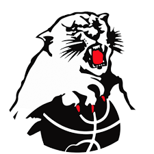 Image result for Eltham Panthers