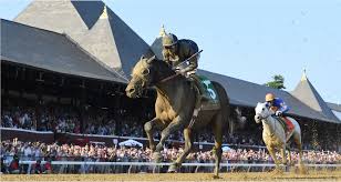 Image result for The Horse Racing Club
