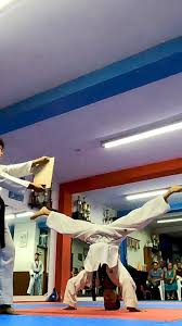 Image result for Sulkido