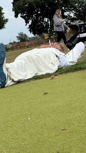 Image result for All Cannings Cricket Club