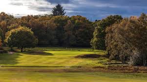 Image result for Sutton Green Golf Club