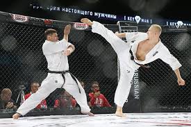 Image result for Kyokushin Karate